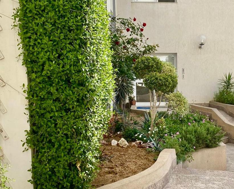Apartment Casa Charm Falaise Monastir